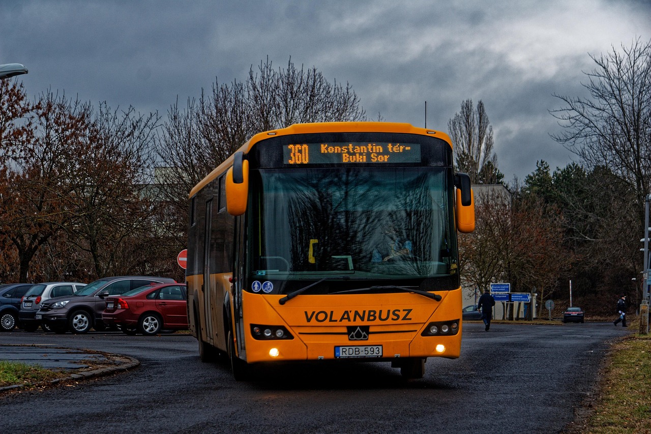 transport, bus, travel, shuttle bus, vehicle, street, bus, shuttle bus, shuttle bus, shuttle bus, shuttle bus, shuttle bus